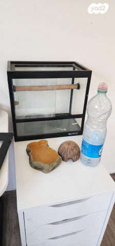 תמונת מודעה - חיות מחמד