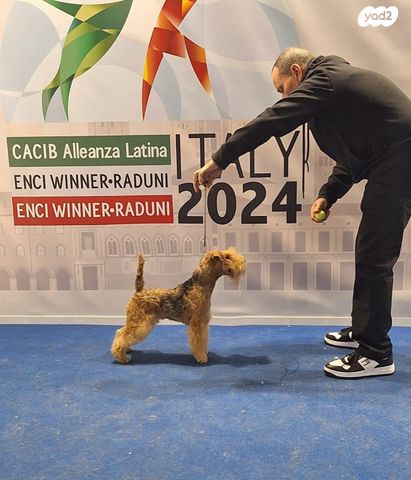 תמונת מודעה - חיות מחמד