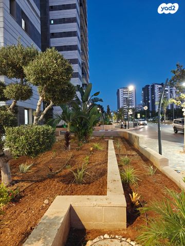 דירה, שדרות הרב משה שמואל שפירא, פארק המושבה, באר יעקב