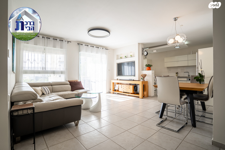 דוד וולפסון 