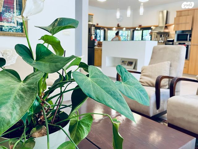 בית פרטי/ קוטג', שאר העיר, קדימה צורן