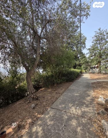 דו משפחתי, הזית, לוטם, לוטם