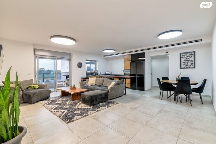 שדרות ציונה צרפת 