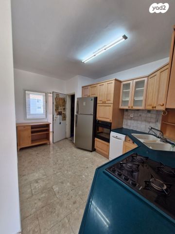 דופלקס, פרופ' דינור 6, צפון, כפר סבא