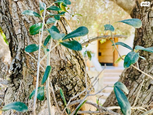 בית פרטי/ קוטג', שאר העיר, קדימה צורן