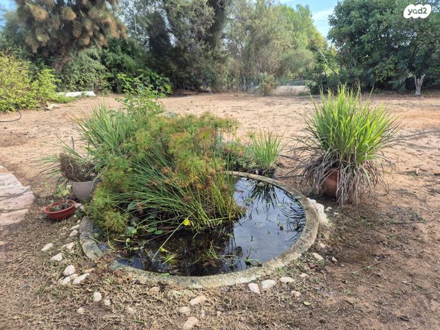 בית פרטי/ קוטג'