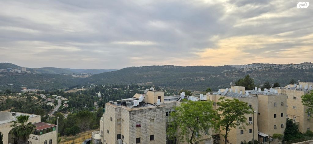 גג/ פנטהאוז, האדמו"ר מרוז'ין, ירושלים