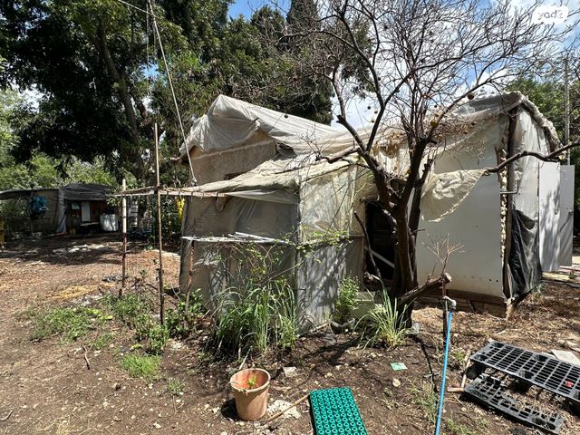 מגרשים, חי, המושבה, בנימינה גבעת עדה