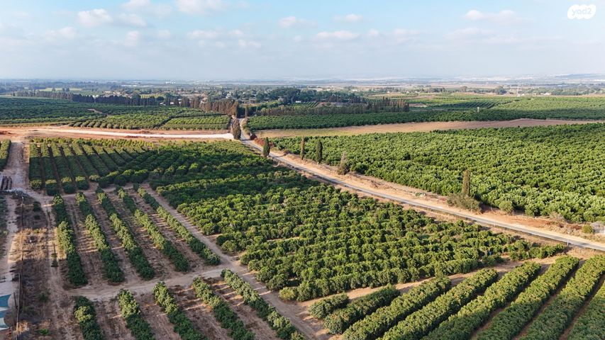 דירה, יפה נוף, כפר יונה