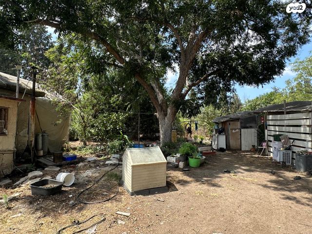 מגרשים, חי, המושבה, בנימינה גבעת עדה