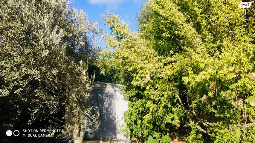 בית פרטי/ קוטג', מצפה נוף, מערבית, כרמיאל