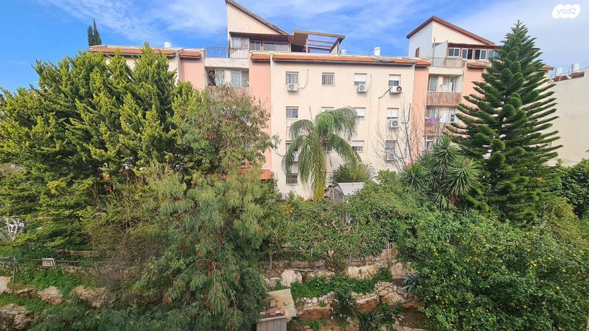 דירה, כינור, נווה אפק, ראש העין