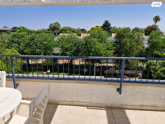 פרופ' דינור 6