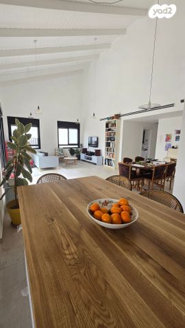 גג/ פנטהאוז, בית אריה / עופרים