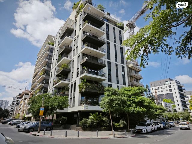 רחובות הנהר 2