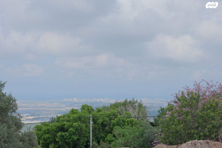 בית פרטי/ קוטג', גילון