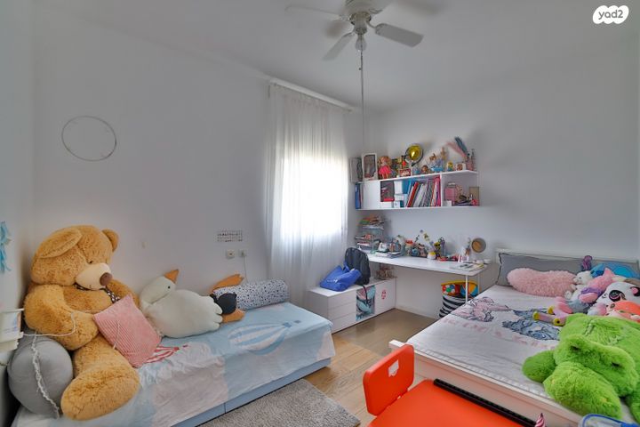 דופלקס, השופט ברנדייס, שיפר, פתח תקווה