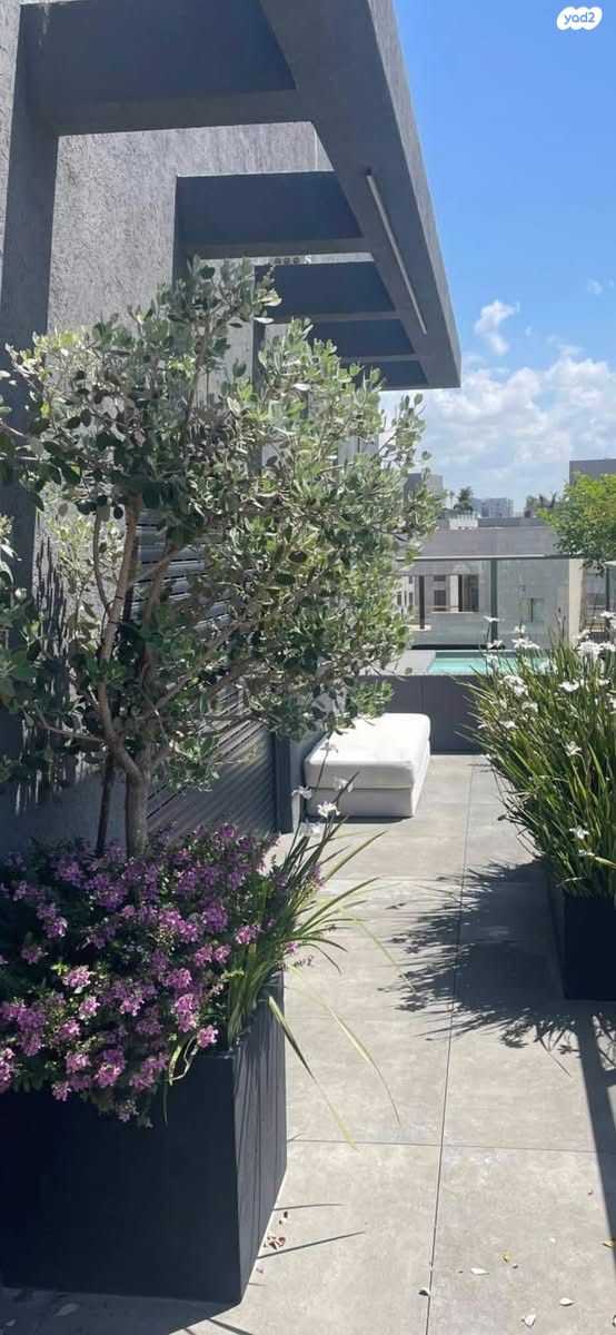 גג/ פנטהאוז, ברגסון 5, נווה אביבים, תל אביב יפו