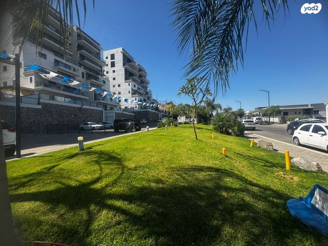 דירה, אסתר המלכה, טבריה