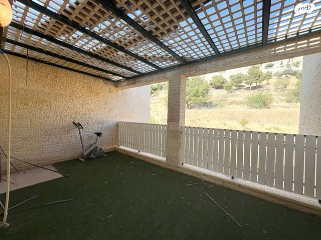 הרב אריה בינה 