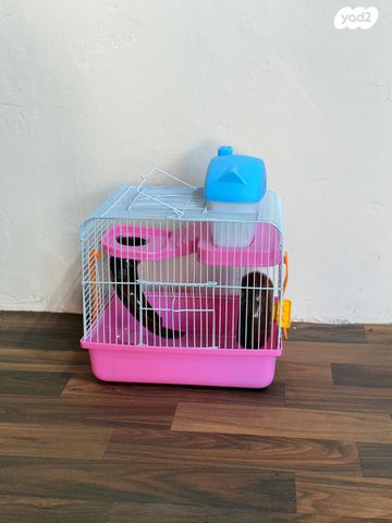 תמונת מודעה - חיות מחמד