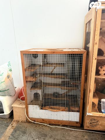 תמונת מודעה - חיות מחמד