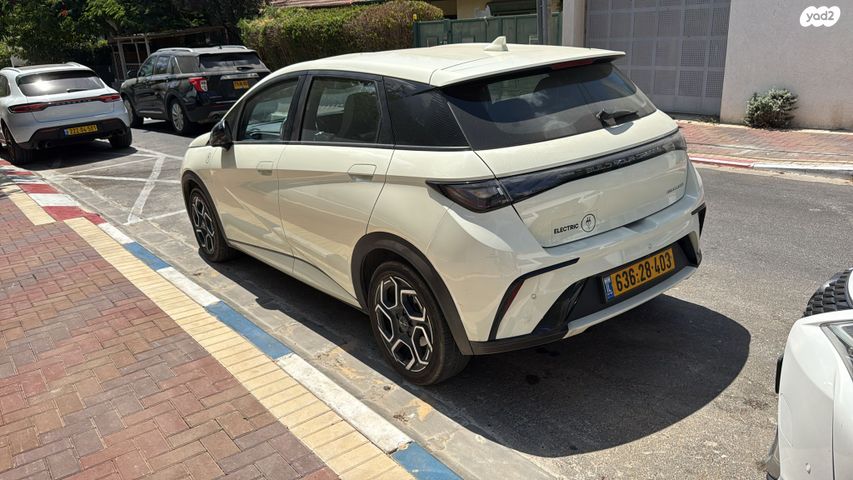 בי.ווי.די דולפין