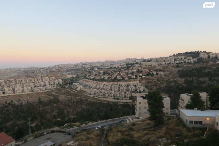 מעגלות הרב פרדס 1