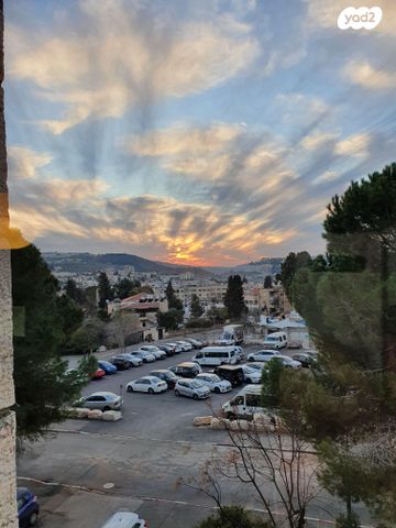 אלכסנדריון 25