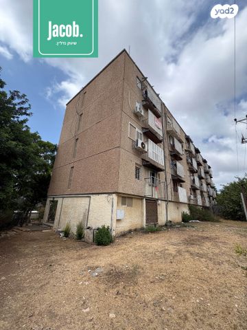 דירה, האלה, כהן, טירת כרמל