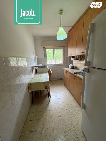 דירה, האלה, כהן, טירת כרמל