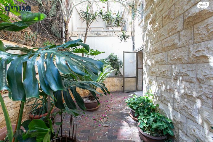 דירה, סחלב, חיפה