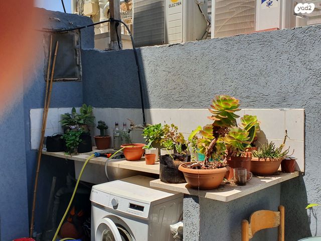 דירת גן, חידושי הרי"ם, צהלון, שיכוני חסכון, תל אביב יפו