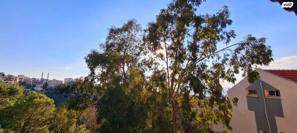 דירת גן, הרדוף, כרמל מערבי, חיפה