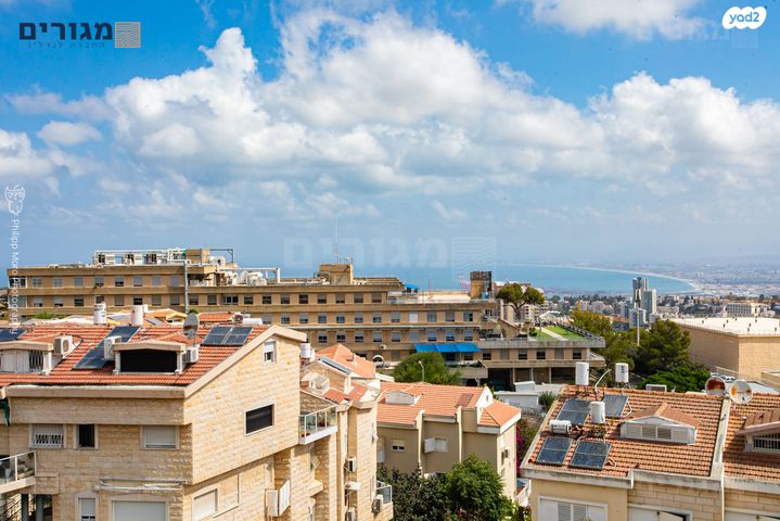 דירה, סחלב, חיפה