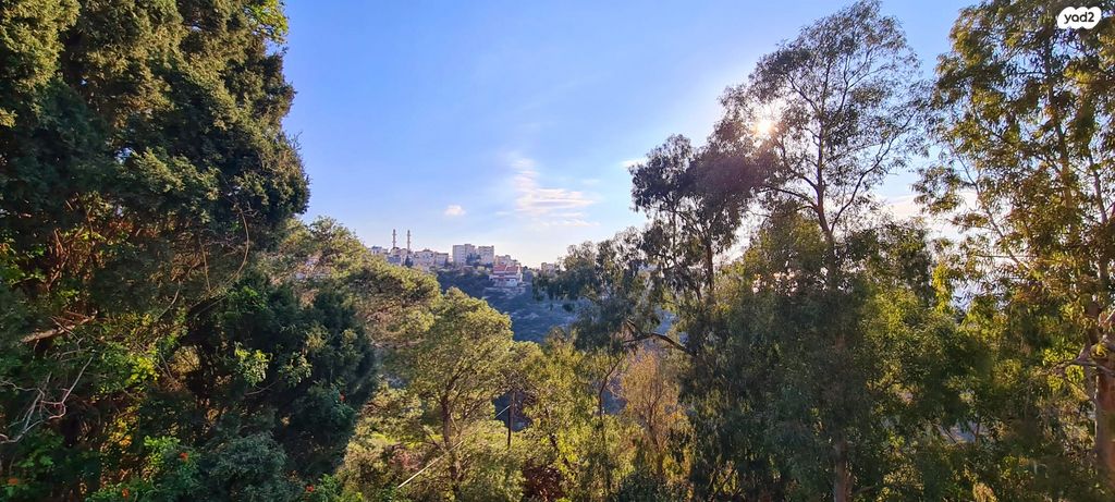 דירת גן, הרדוף, כרמל מערבי, חיפה