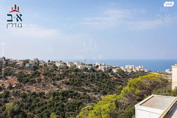 כיכר הרקפות 