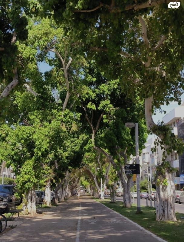 בניין מגורים, שדרות נורדאו, הצפון הישן - צפון, תל אביב יפו