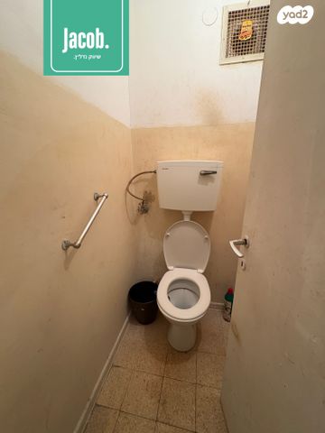 דירה, האלה, כהן, טירת כרמל