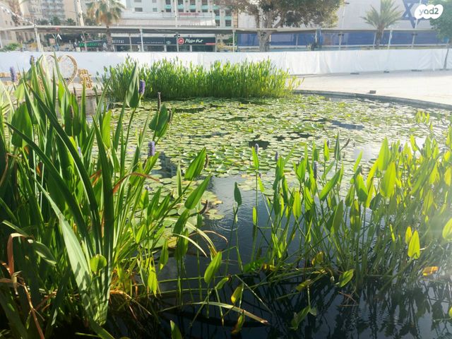 דירה, הרב קוק 18, צפון מערב מרכז העיר, נתניה