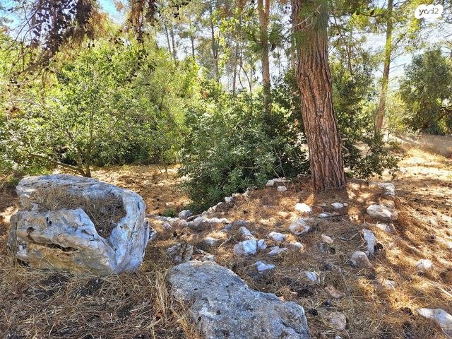 בית פרטי/ קוטג', כפר ורדים