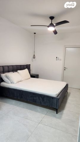 דירה, מוהליבר, רמב"ם, ראשון לציון