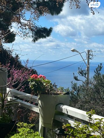 שלומציון המלכה 