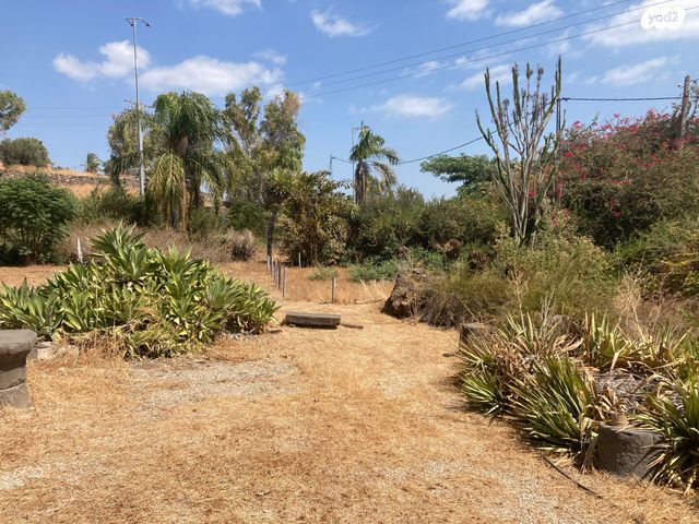 מגרשים, המייסדים, כינרת מושבה