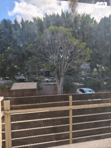 דירה, דב הוז, כפר סבא