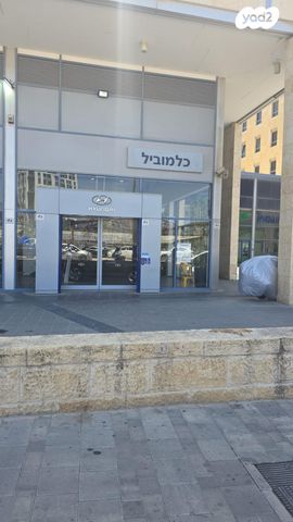 כנפי נשרים 15