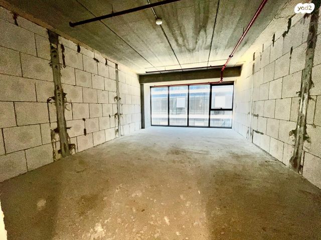 משרדים, שושנה דמארי, משכנות האומנים, קרית מוצקין