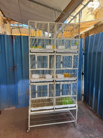 תמונת מודעה - חיות מחמד