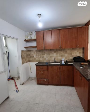 דוד אלעזר 31