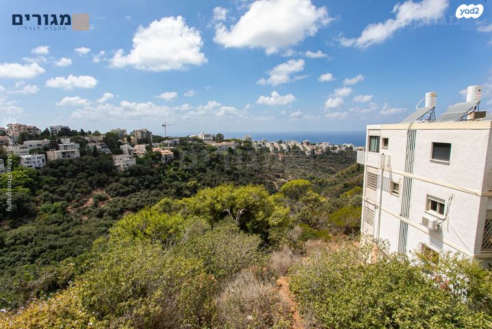 דירה, חורשה, רמת התשבי, חיפה